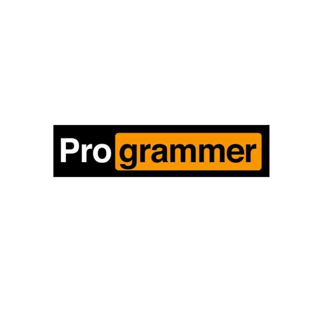 Pro-Grammer Sticker